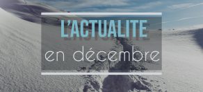 Les nouvelles du mois de Décembre | Comment s’organiser pour Noël ? ❄☃