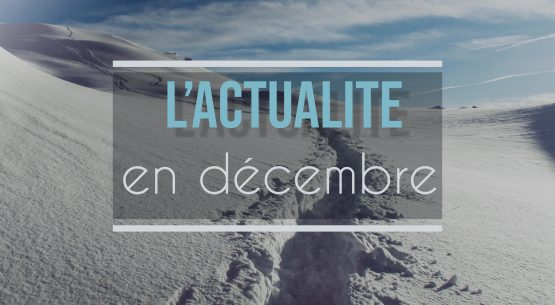 Les nouvelles du mois de Décembre | Comment s’organiser pour Noël ? ❄☃